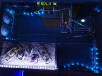 IMG_20201110_182245.jpg