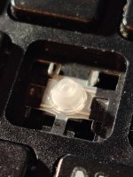 16060616863762918631891931783943.jpg