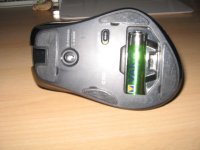 IMG_3010[1].JPG