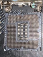 759DED69-102F-4CA1-9C46-EBAC4EFCDA71.jpeg
