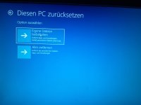 5.jpeg