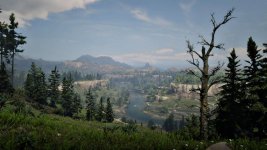 RDO1.jpg
