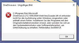 WebViewLoad2_dll Fehlermeldung.png