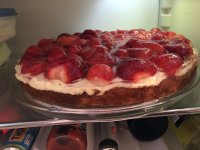 IMG_0457.jpeg IMG_0457.jpeg