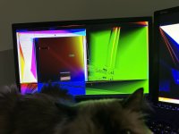 IMG_6735.JPEG