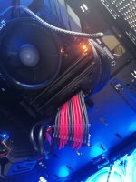 IMG_20230827_122829.jpg