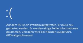 W10_bluescreen.jpg