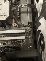 IMG_5594.jpeg