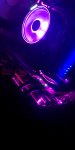 IMG_20190922_140954.jpg