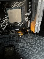 IMG_0567.jpeg