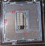 IMG_1273.jpeg IMG_1273.jpeg