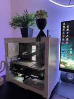 IMG_6909.jpeg