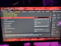 bios1.jpg