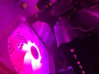 IMG_20240501_215511.jpg
