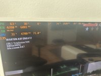 IMG_1517.jpeg