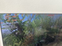IMG_1519.jpeg