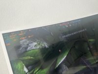 IMG_1520.jpeg