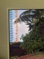 IMG_1531.jpeg