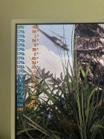 IMG_1534.jpeg