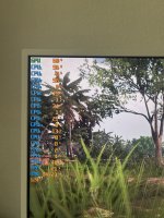 IMG_1535.jpeg