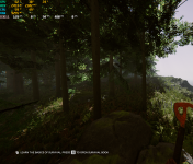 Forest1_1440.png