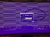 IMG_0062.jpeg