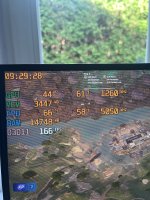 IMG_2872.jpeg