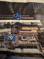 IMG_4212.jpeg
