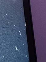 IMG_4510.jpeg