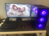 IMG_1010.jpeg