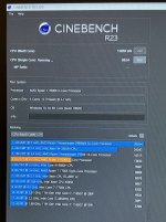 IMG_2981.jpeg