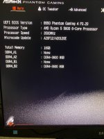IMG_7684.jpeg