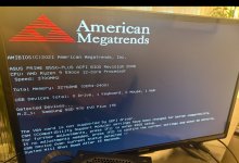IMG_6631.jpeg