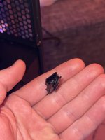 IMG_7771.jpeg