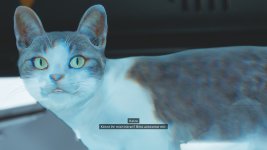 Pragmata Katze.jpg