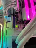 IMG_3312.jpeg