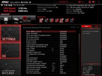 MSI_SnapShot_03.jpg