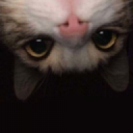 Hohlti