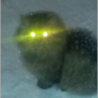 Kodiacx