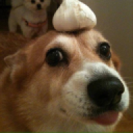 LamaFama
