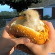 Fīščh