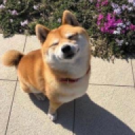 Zuray