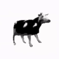 MuriiMit2i