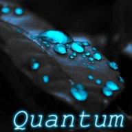 QNTM