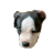 BeleidigterBaum