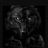 Alpha_Wolf3030
