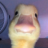 Moritz_8i