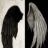 HolyN_Devil
