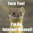 Internetwiesel