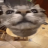 Konnyboy